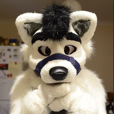 TheDarkMatterK1's profile picture. 