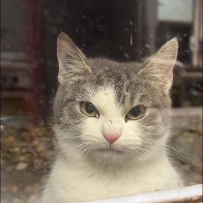 DaianaBtez's profile picture. 