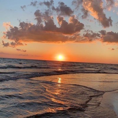 ff1902Ah's profile picture. باقون ما بقي الزّيتون 𓂆🇵🇸 ٢.٣.٢٠٢٢💔