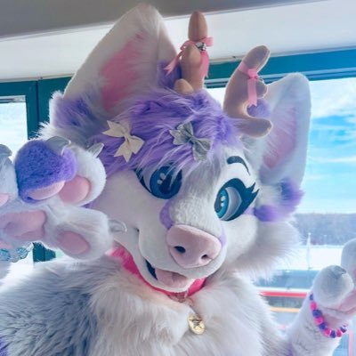 auroraabloom's profile picture. ♡ She/her ♡ @bookerfoxeh is my whole heart ♡ ♡ Artist, Merch designer & Fursuit Maker ♡ Fursuit Biz: @AuroraFursuits - I made my suit!!