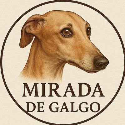 @MiradaDeGalgo