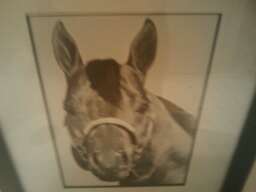 jmalczyk's profile picture. 