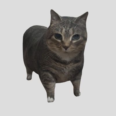 DevGaelBattles's profile picture. Discord Dev + Roblox Builder