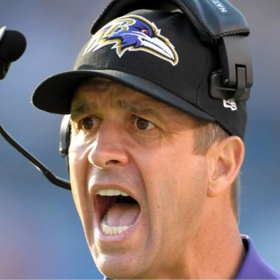sufferingravn's profile picture. #RavensFlock #FireHarbaugh #FireEDC #BenchFaalele