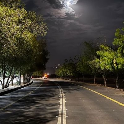 ly9149946224317's profile picture. 