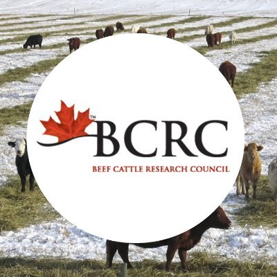 @BeefResearch