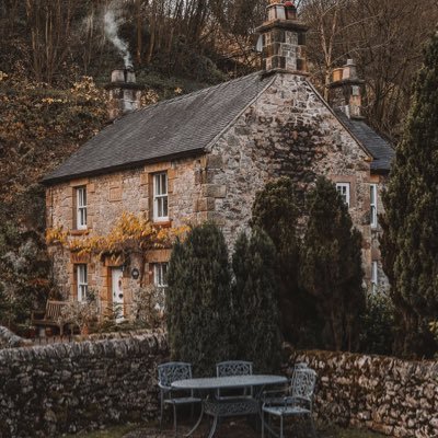 teamahogany1234's profile picture. 