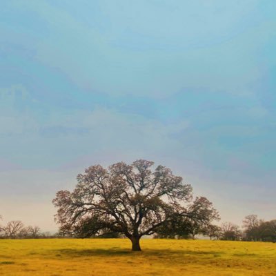 tinyelephantla's profile picture. Emmy winning filmmaker and artist who tells stories for a living.