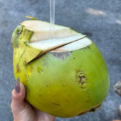 theycanttakeme's profile picture. You’ve come to the right place ✨