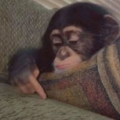 wyapixal's profile picture. 