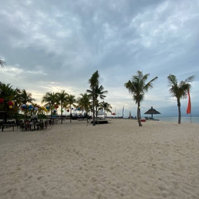 AnandaFird49773's profile picture. 