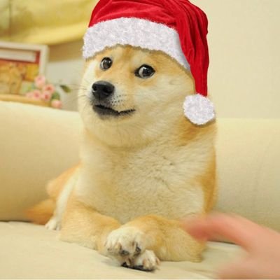 ownthedoge's profile picture. 