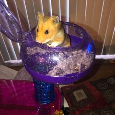 ImJay2U's profile picture. 