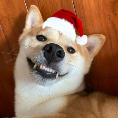 Aster_adog_bsc's profile picture. Aster_adog build together
0x87241b1b7fd82cf4f4842f195909ca69aa6e4444