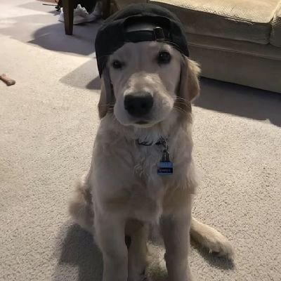 DrazoNXD's profile picture. VALORANT & R6 @Sentinels @FURIA