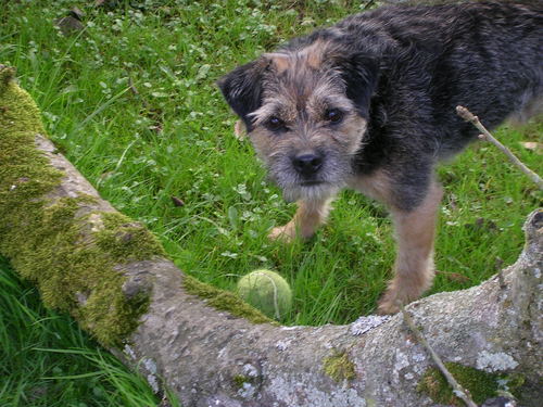 WykeStar's profile picture. Becoming ever more cynical by the day