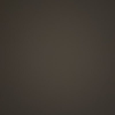 corgi_99910's profile picture. 