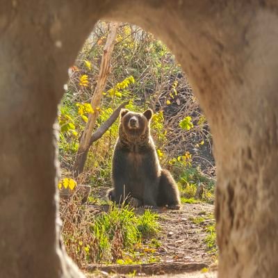 ponko2_anglers's profile picture. 基本1人、たまに友釣り。下手くそですが鹿島灘サーフ、LSJ、エリアとか。釣果とか気まぐれに。
無断フォローすみません。