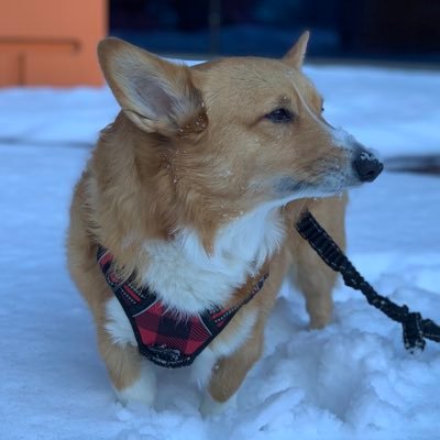 lakecity0707's profile picture. 