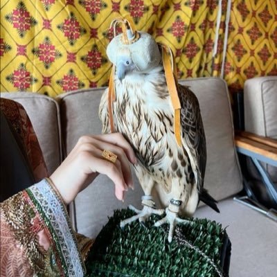 niiu_l's profile picture. كل شي فيها تظن إنك تعرفه ، تأكد إنك ما زلت تجهله✨