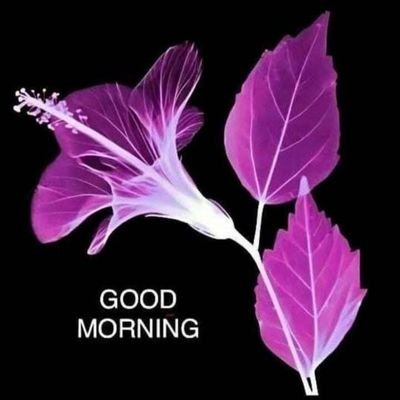 ShailRathore4's profile picture. हम दो हमारे दो 
बाकी सब रहने दो 
I♥️🇮🇳