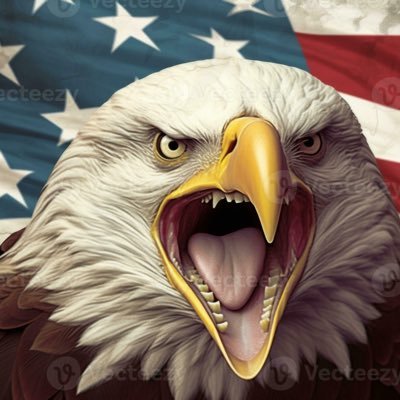 tom64837317's profile picture. My friends / Dm / REAL NEWS 📰 gift card 🚫••WWE • Cars 🏎️ 1# Jesus first / 🇺🇸TRUMP 🇺🇸( unfollow 🚫 blocked🚫)