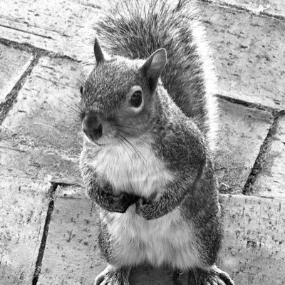 gregorycgravett's profile picture. Spell Checker & Comment Creator

Also guilty of Muphry's Law.