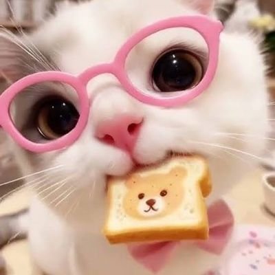 tylamadaly8026's profile picture. 