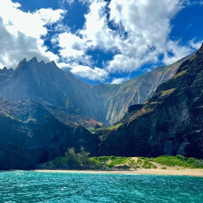 toru_nakata_MD's profile picture. 