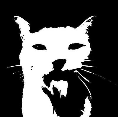 creamypawbun's profile picture. she/her | 20 | 🏳️‍⚧️ | selling  nudes :3 | mursuiter