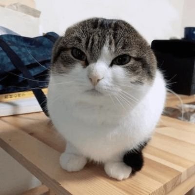 Lookxda2's profile picture. Hi :) Me gusta Deltarune y Geometry Dash. Mi cuenta anterior: https://t.co/9HUOaSpbIa ESP/ENG