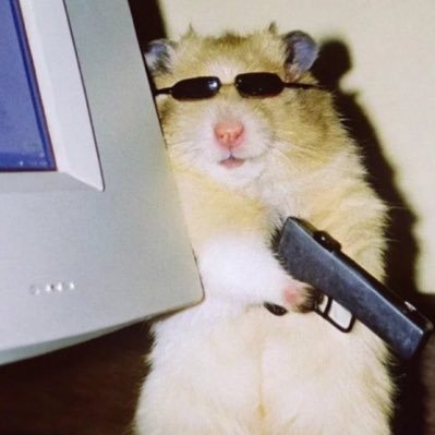 Cc132555's profile picture. 