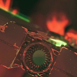 jbvwos's profile picture. 구독계