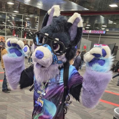 FendeyDaHusky's profile picture. 25 | Fighter Jet Mechanic during the day - Galaxy Puppy at Night~ | MFF 2024 | MFF 2025 | TFF 2026 ???