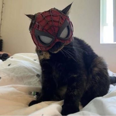 jake35pevet's profile picture. 