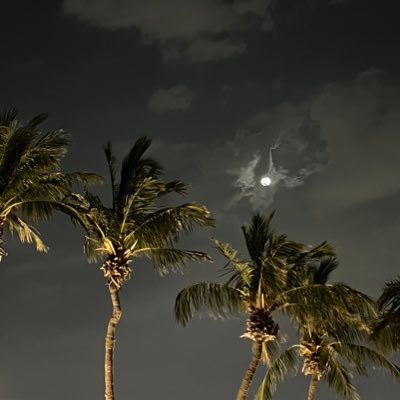 _i1sr's profile picture. 