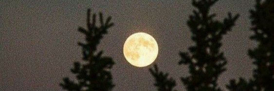 MeiPei52448's profile picture. 