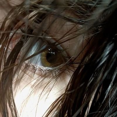 voidwalkerl's profile picture. 