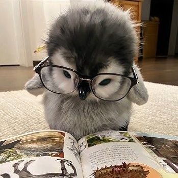 priyeshAI's profile picture. learning AI/ML + dev | I break things until they work ; )