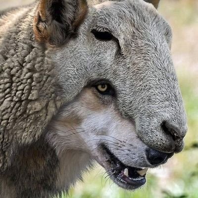 thegodking2000's profile picture. the world is a beautiful place... open your eyes and smile