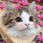 paleailment's profile image