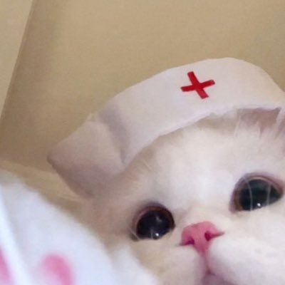Villea_ow's profile picture. 