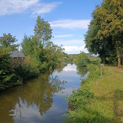 harlein3's profile picture. ego sum id quod sum