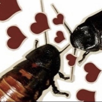 moonroachsr's profile picture. 20