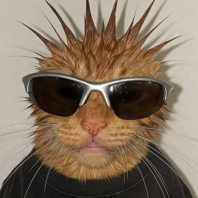 osoelpendejo's profile picture. 