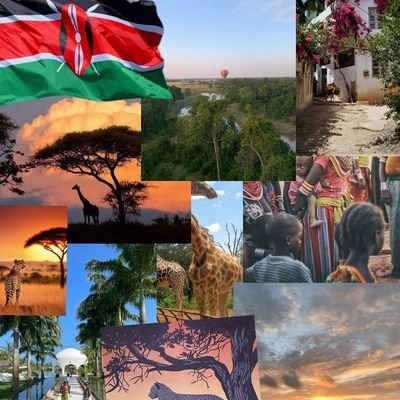 kenyaisme_u's profile picture. proud to be Kenyan 🇰🇪
