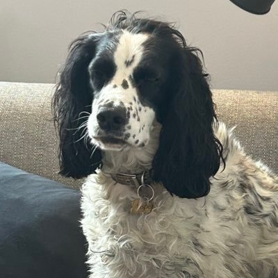 justthink4once's profile picture. 