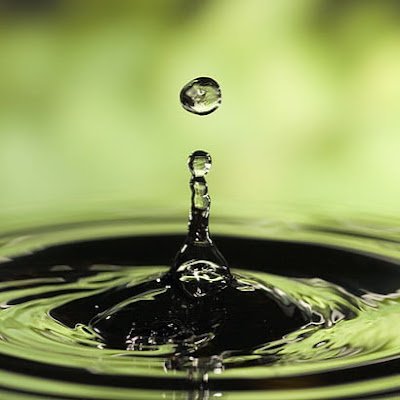 mtamil_selvan's profile picture. 