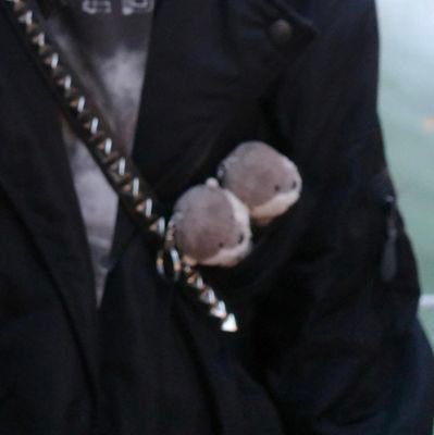 no___interest's profile picture. 