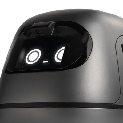 realRiceAI's profile picture. 